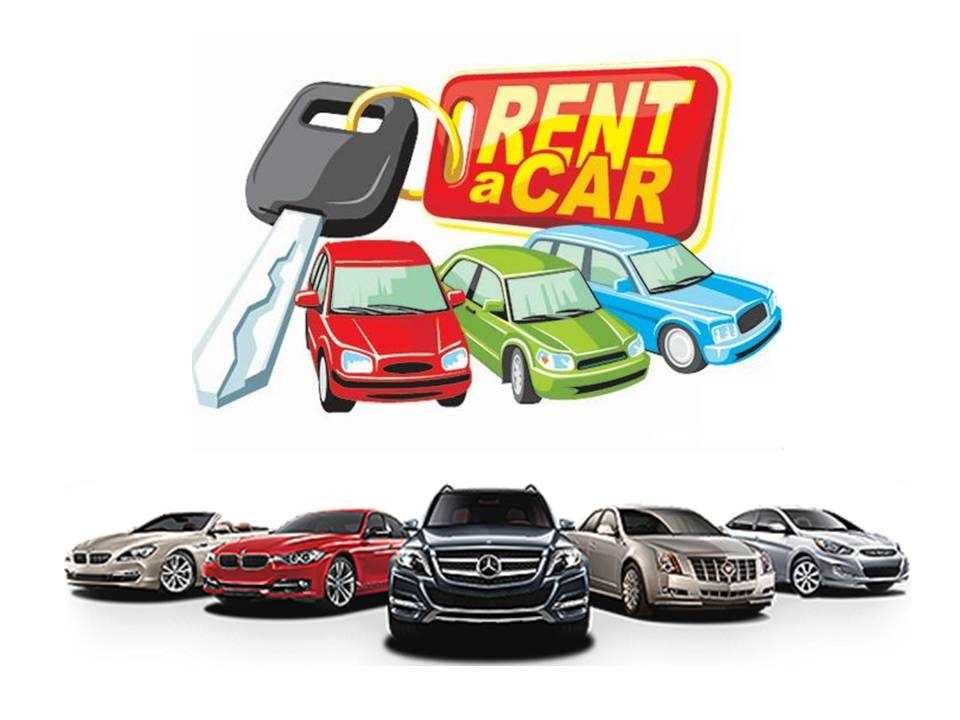 Erfelek Rent A Car